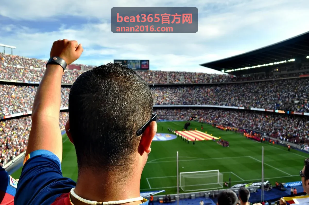 beat365官方网移动端与桌面端适配指引封面